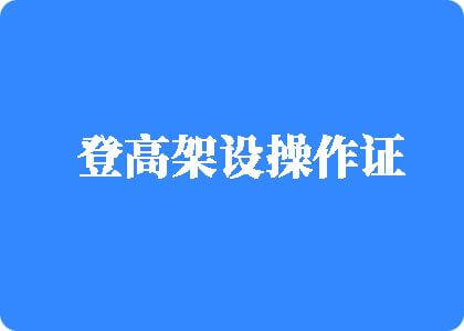 黄片免费看让看逼登高架设操作证